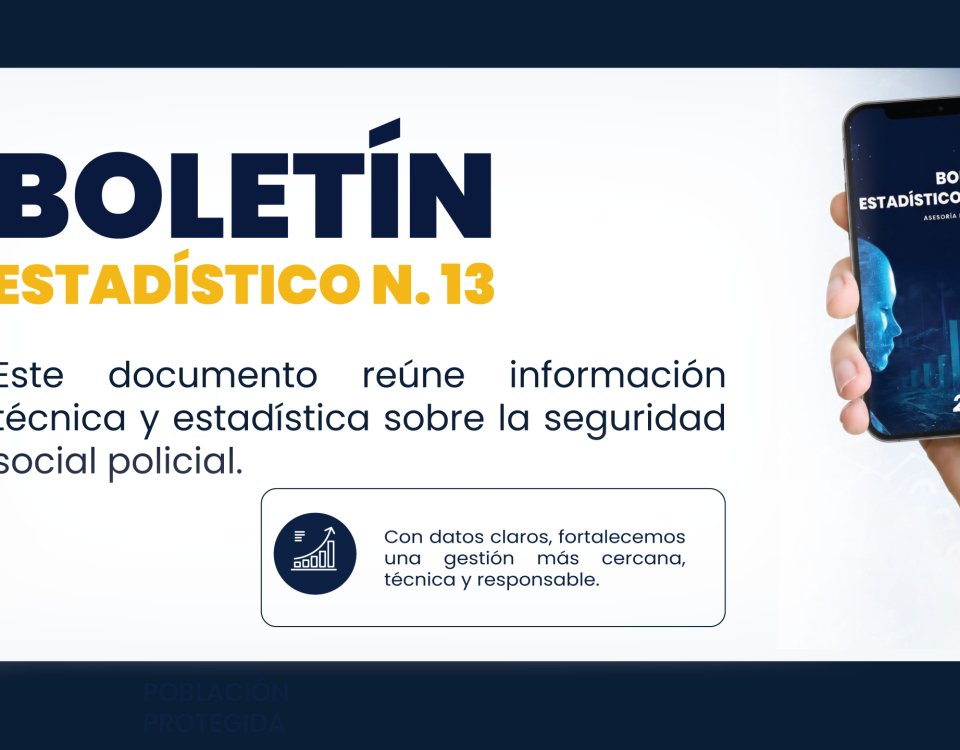 BOLETÍN ESTADÍSTICO N.13